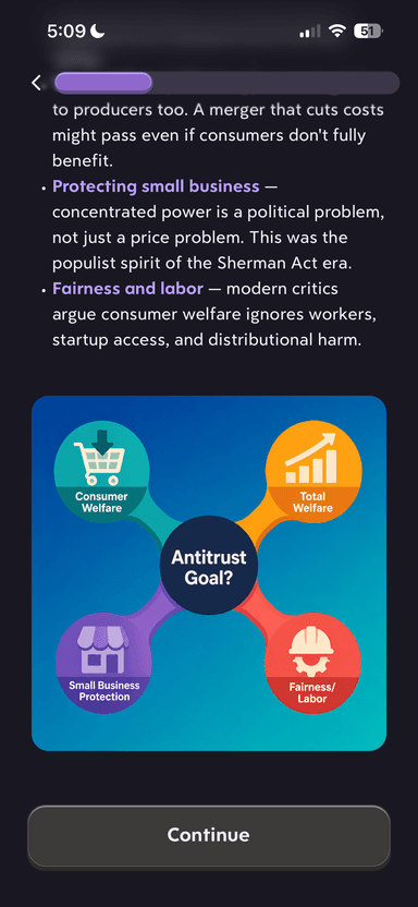 Turbo AI Learn Mode lesson content within the antitrust law course