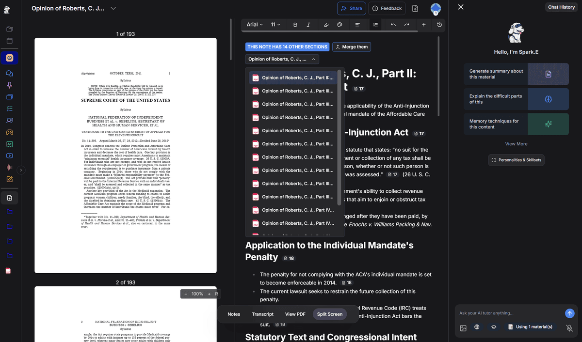 StudyFetch Notes